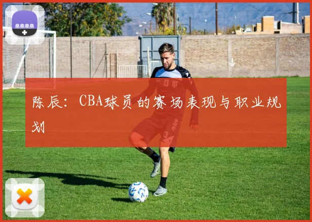 陈辰：CBA球员的赛场表现与职业规划