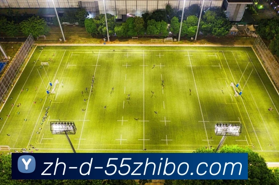 数据防护可视化